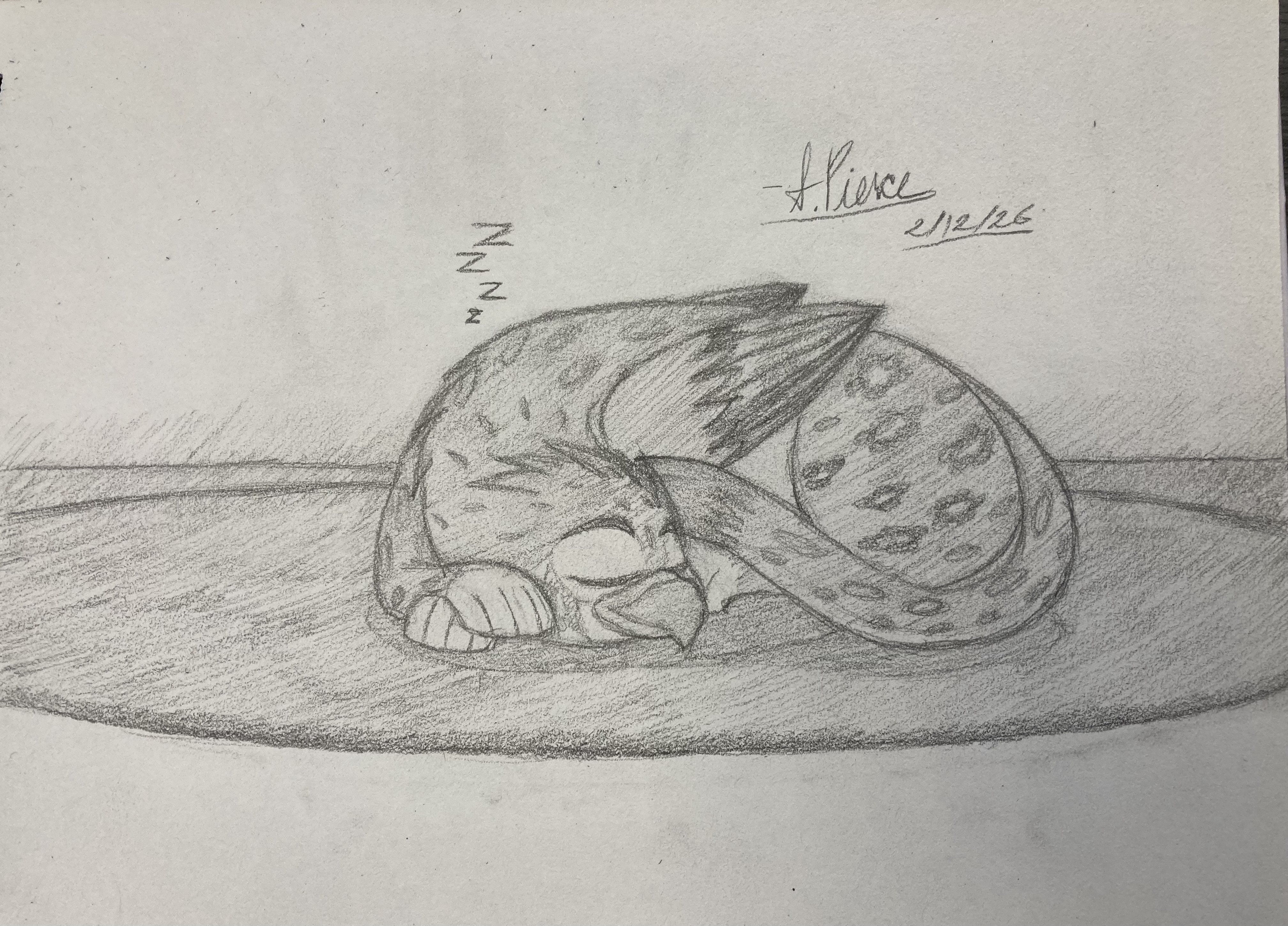 Sleepy Snow Leopard Gryphon (Commission for Max)